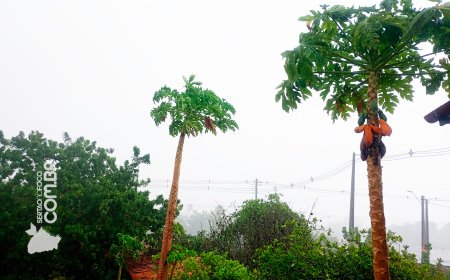Chuva forte em Canindé reforça expectativa de bom inverno no Sertão Central