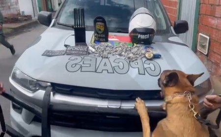PMCE prende homem com mais de 550 trouxinhas de drogas após cães farejadores encontrem esconderijo dos entorpecentes