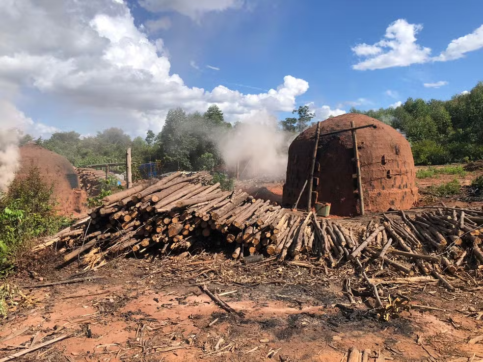 Fatalidade: Corpo é encontrado carbonizado dentro de forno de carvoaria em Minas Gerais