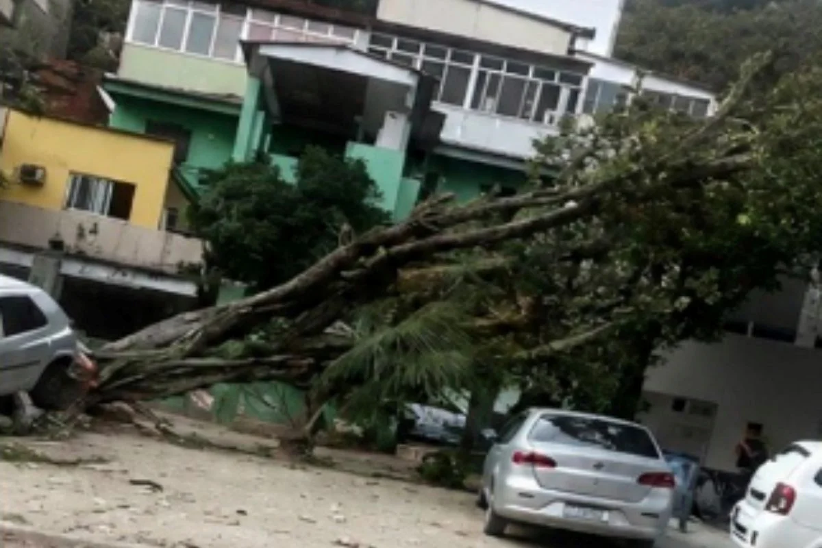 Ventania provoca pânico no Rio de Janeiro, derruba árvores, paralisa transporte e deixa bairros sem energia