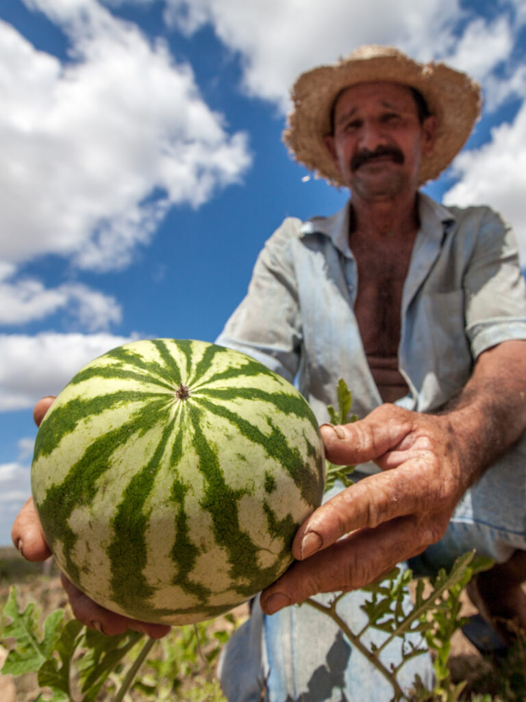 Instituto Antônio Conselheiro realiza Feira Agroecológica em Choró nesta sexta-feira, 14 de agosto