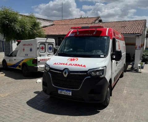 Mulher sofre queimaduras de segundo grau ao tentar matar caranguejeira com gasolina