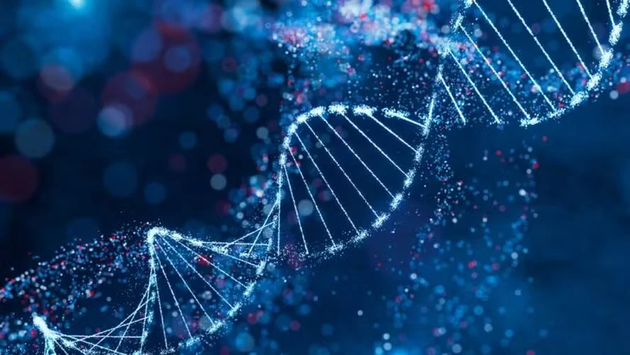 Estudo com mais de 1 milhão de pessoas mostra que genes têm pouca influência na personalidade