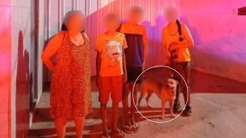 Latidos de cachorro ajudam bombeiros a resgatar irmãos perdidos em mata no Ceará